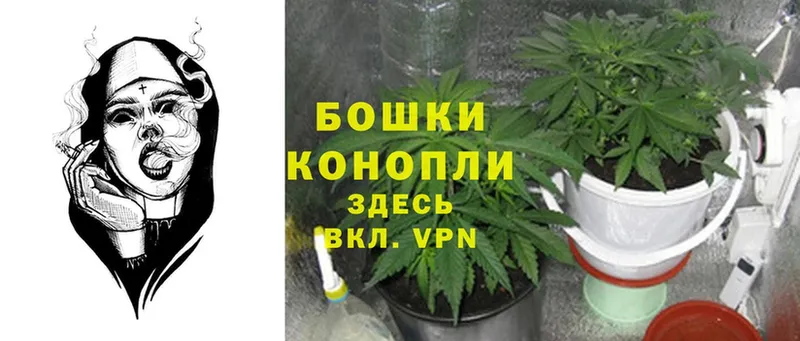 OMG ссылка  Кириши  МАРИХУАНА Amnesia  продажа наркотиков 